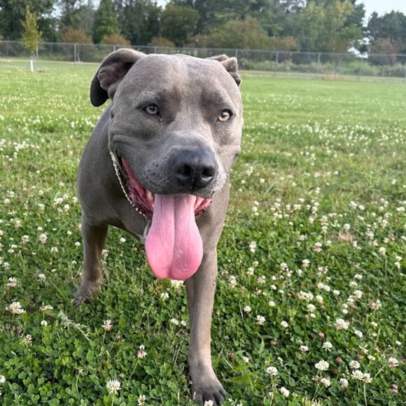 Meet your Posher, Adrianne! - Picture 13 of 16